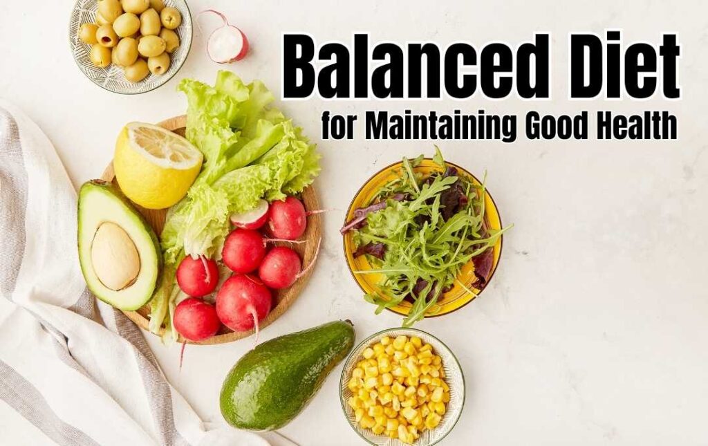 Balanced Diet for Maintaining Good Health